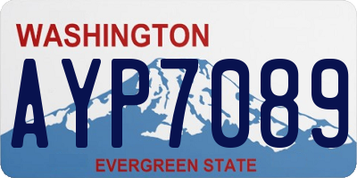 WA license plate AYP7089