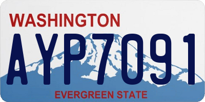 WA license plate AYP7091