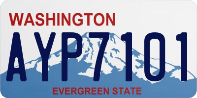 WA license plate AYP7101