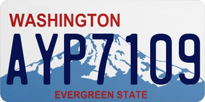 WA license plate AYP7109