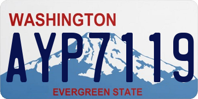 WA license plate AYP7119