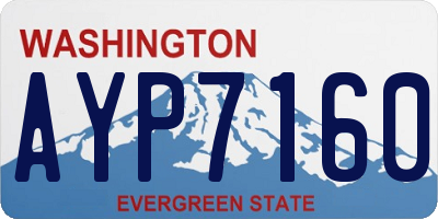WA license plate AYP7160