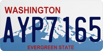 WA license plate AYP7165