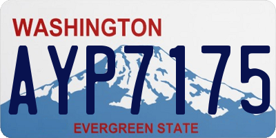 WA license plate AYP7175