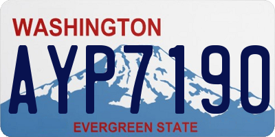 WA license plate AYP7190