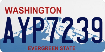 WA license plate AYP7239