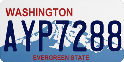 WA license plate AYP7288