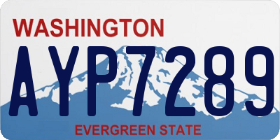 WA license plate AYP7289