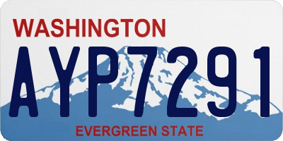 WA license plate AYP7291