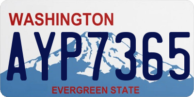 WA license plate AYP7365