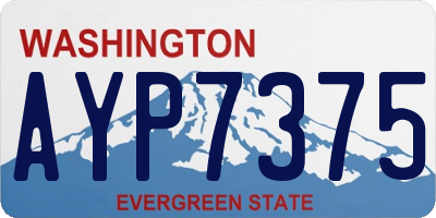 WA license plate AYP7375