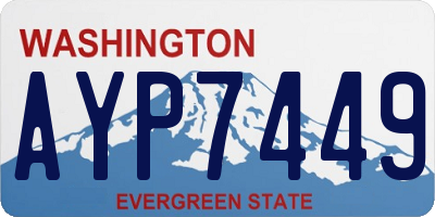 WA license plate AYP7449