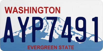 WA license plate AYP7491