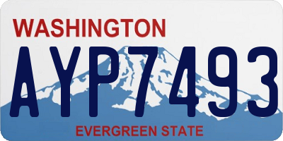 WA license plate AYP7493