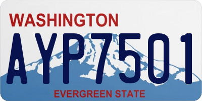 WA license plate AYP7501