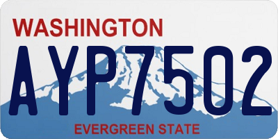 WA license plate AYP7502