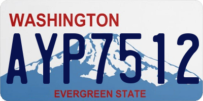 WA license plate AYP7512