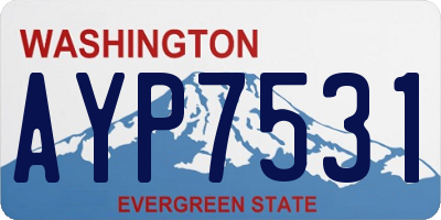 WA license plate AYP7531