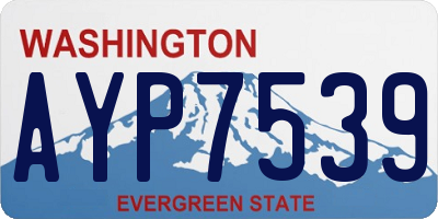 WA license plate AYP7539