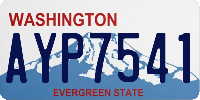 WA license plate AYP7541