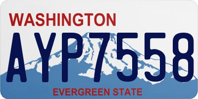 WA license plate AYP7558
