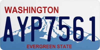 WA license plate AYP7561