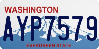 WA license plate AYP7579