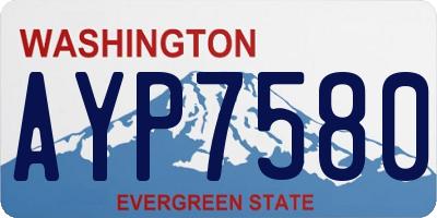 WA license plate AYP7580