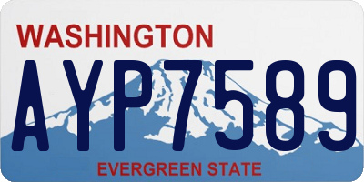 WA license plate AYP7589