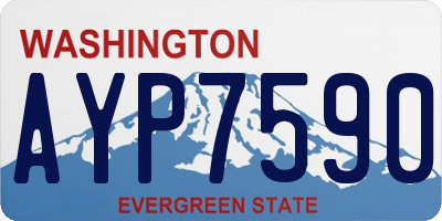 WA license plate AYP7590