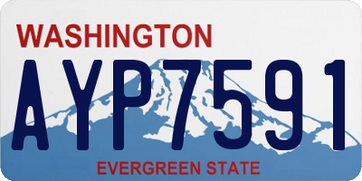 WA license plate AYP7591