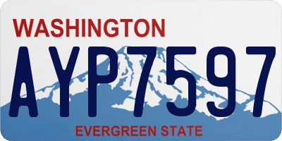 WA license plate AYP7597