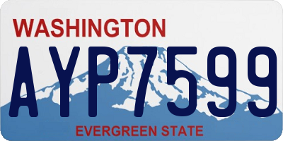 WA license plate AYP7599