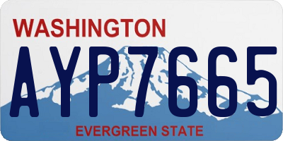 WA license plate AYP7665