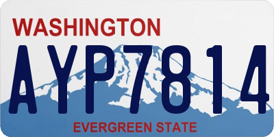 WA license plate AYP7814