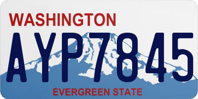 WA license plate AYP7845