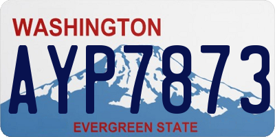 WA license plate AYP7873