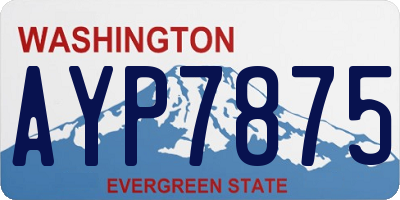 WA license plate AYP7875