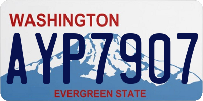 WA license plate AYP7907