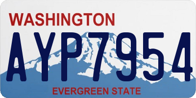 WA license plate AYP7954