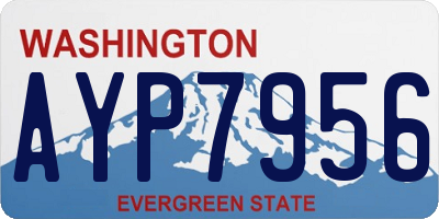 WA license plate AYP7956
