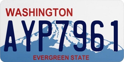 WA license plate AYP7961