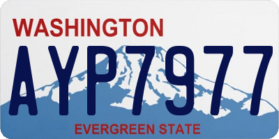 WA license plate AYP7977
