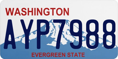 WA license plate AYP7988