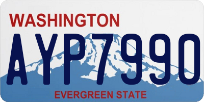 WA license plate AYP7990