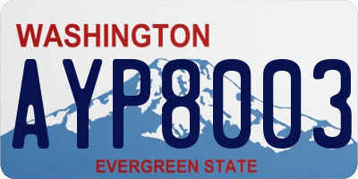 WA license plate AYP8003