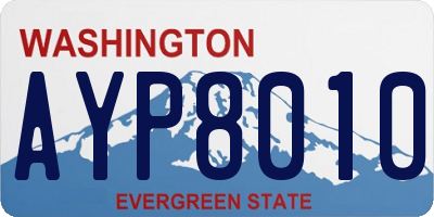 WA license plate AYP8010