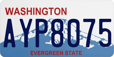 WA license plate AYP8075