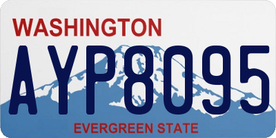 WA license plate AYP8095