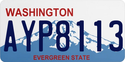WA license plate AYP8113